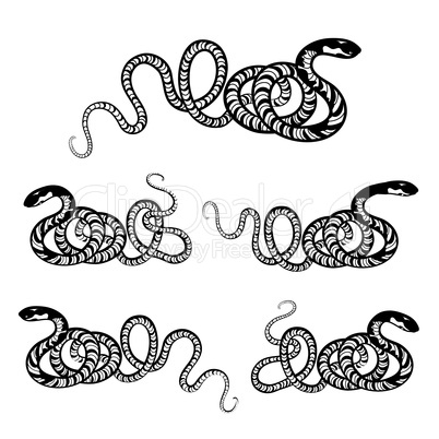 Snake set. Engraved wildlife reptile silhouette. Patterned animal tail