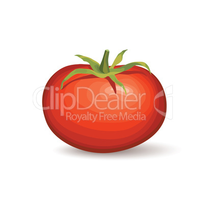 Tomato. Vegetable logo. Vector illustration of naural product to