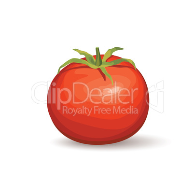 Tomato. Vegetable logo. Vector illustration of naural product to