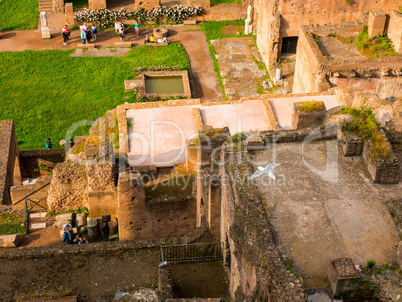 view on the Roman Forums from the Palatine Hill, ancient Rome Italy