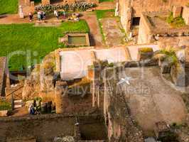 view on the Roman Forums from the Palatine Hill, ancient Rome Italy