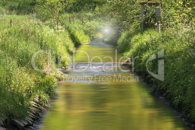 Beautiful meadow landscape in Heiligenhaus