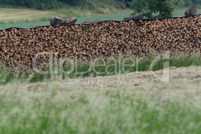 Firewood stock for Winter