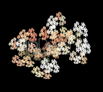 image of one Digital Fractal on Black Color