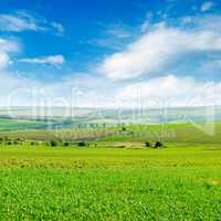 Picturesque green field and blue sky with light clouds.
