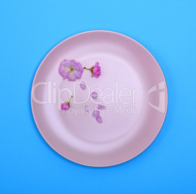 empty round ceramic pink plate on a blue background