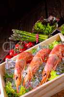 cooked argentine red prawns with salad on the ice