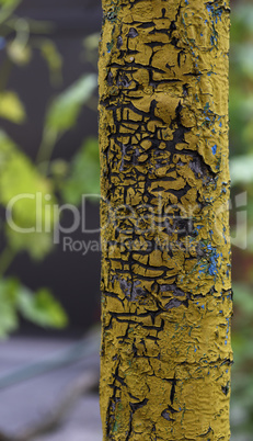 a fragment of a yellow pipe with cracked paint on the street