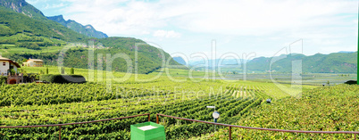 Landschaft bei Tramin in Südtirol