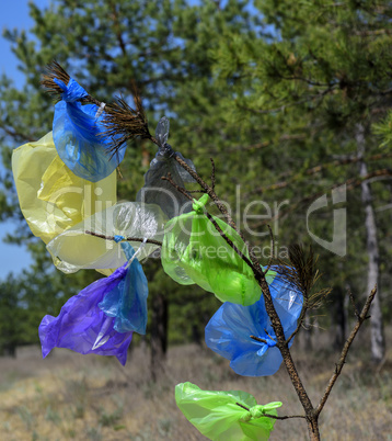 many multicolored plastic bags hanging on a pine branch