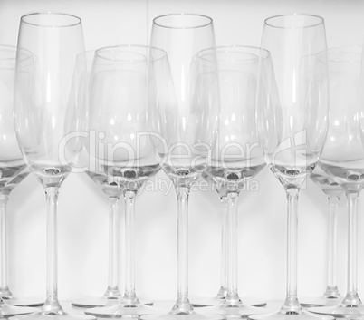 Wine glasses standing in rows