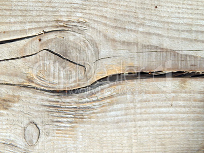Wooden texture composition of wood