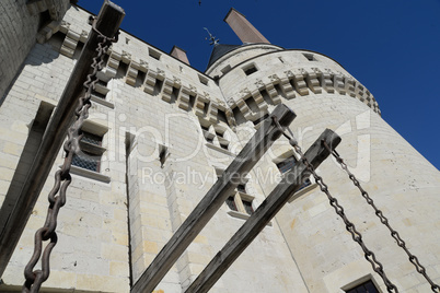 Schloss in Langeais, Frankreich