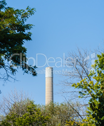 Industrial smoke stack rising behind trees.