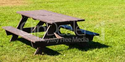 Empty brown picnic table on green lawn.