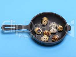 raw quail eggs in the shell lie in a black cast-iron frying pan