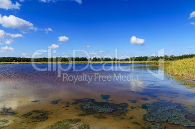 view of the lake with minerals and iodine in the Kherson region,