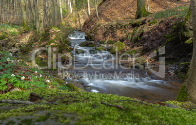 Little german canyon at the mountain Rhoen