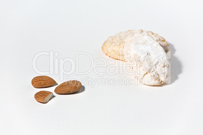 Ricciarelli biscuits of Siena with almonds