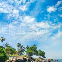 Ocean, picturesque beach and blue sky. Sri Lanka