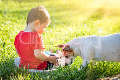 Cute Baby Boy Sitting In Grass Playing With Dog
