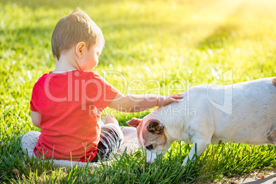 Cute Baby Boy Sitting In Grass Petting Dog