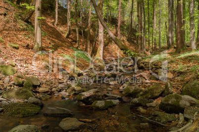 Little german canyon at the mountain Rhoen