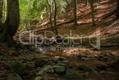 Little german canyon at the mountain Rhoen