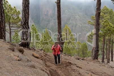 Wandern am Pico Bejenado, La Palma