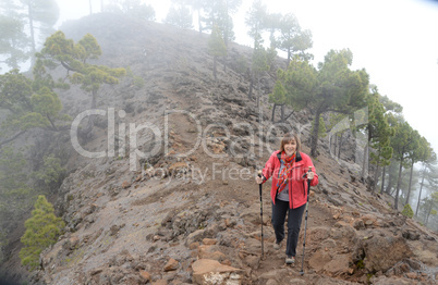 Auf dem Pico de Cuervos, La palma