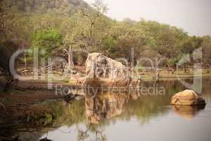 Ranthambore Nationalpark in Indien