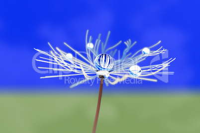 Flowered stalks with dew drops, 3d illustration