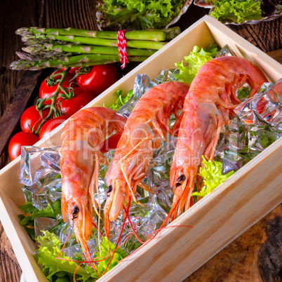 cooked argentine red prawns with salad on the ice