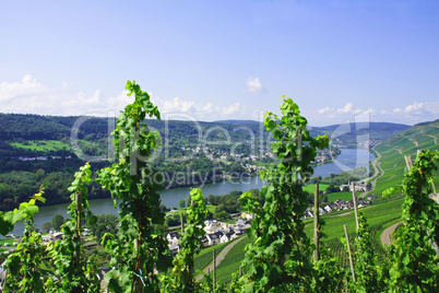 Graach an der Mosel