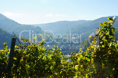 Traben-Trarbach an der Mosel