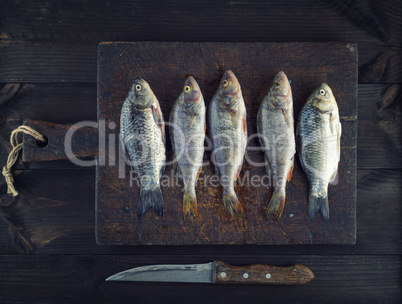 fresh river fish perch and crucian