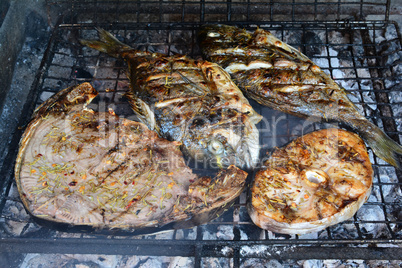 Sea breams, Tuna and Swordfish on the grill