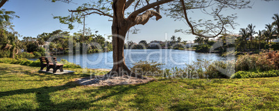 pond and a park from a bench in Naples, Florida