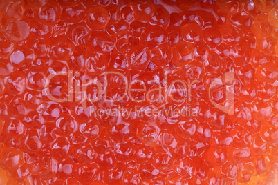 red caviar at day