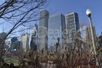 Chicago Skyline