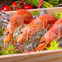 cooked argentine red prawns with salad on the ice