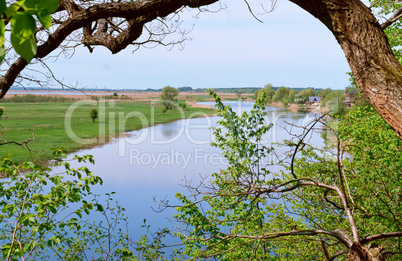 the river in the distance, the river landscape and the sky through the trees, a winding blue river and green grass