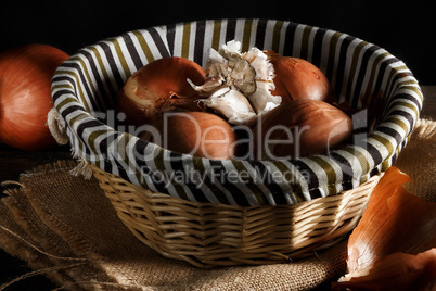 Still life of fresh onions and garlic head.