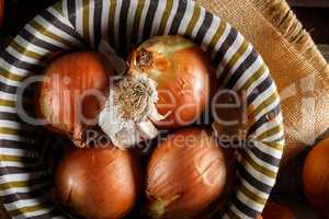 Still life of fresh onions and garlic head.