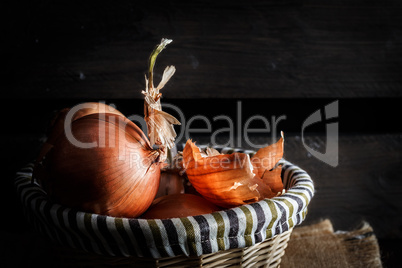 Still life of onion bulbs.