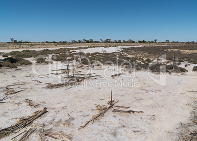 Salzsee im Outback von Western Australia