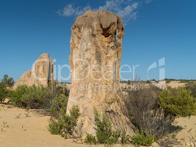 Nambung National Park, Western Australia