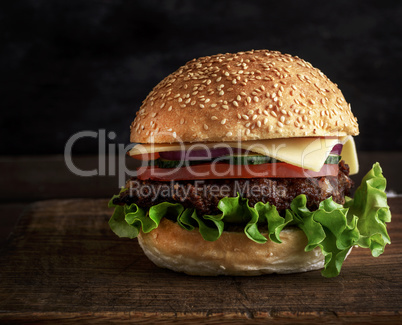 fresh homemade burger with lettuce, cheese, onion and tomato