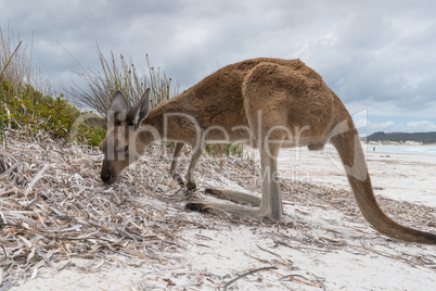 Cape Le Grand National Park, Western Australia