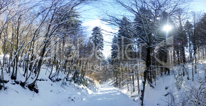 Panoramic view of a mountain roud on winter